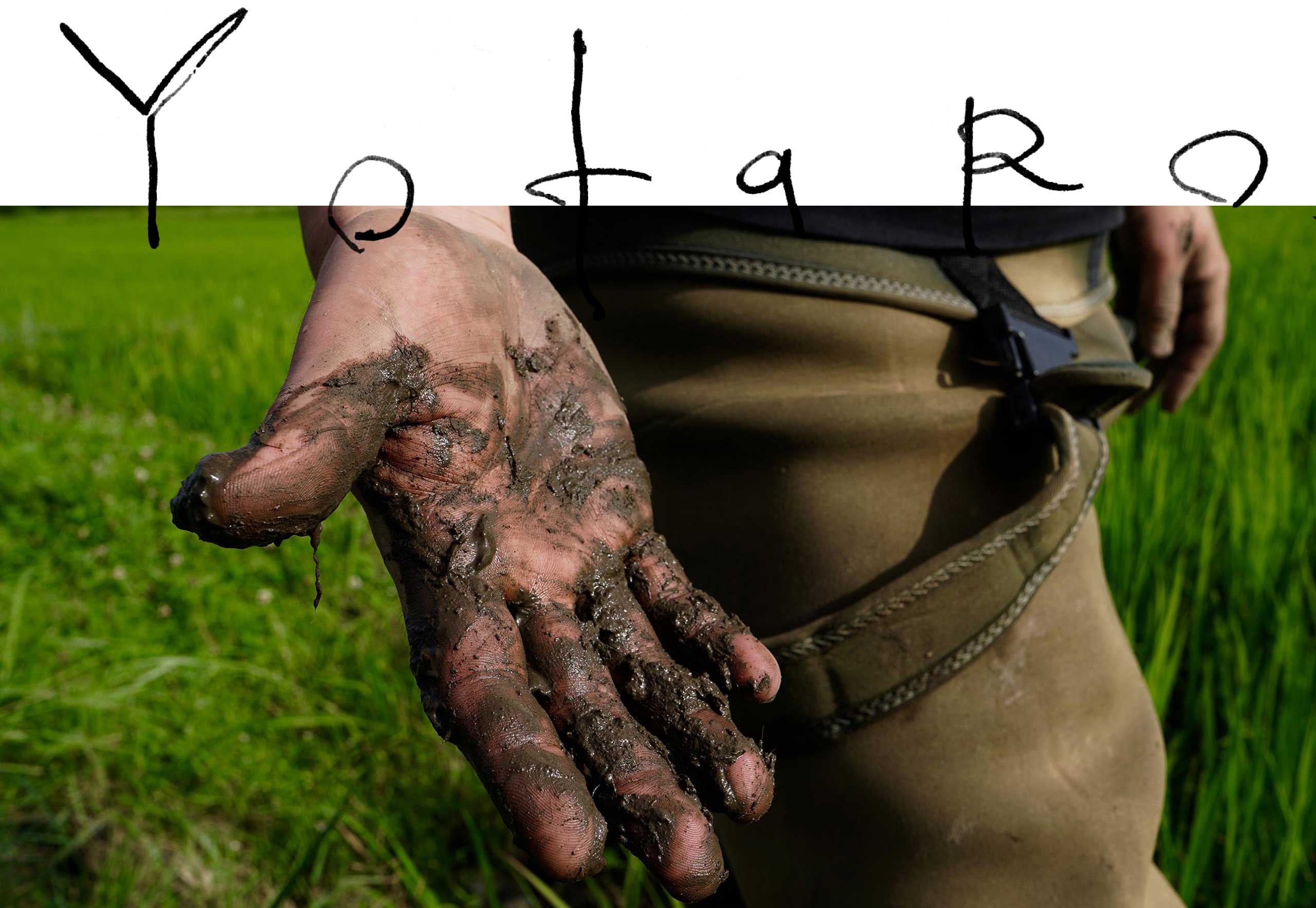 YOTARO